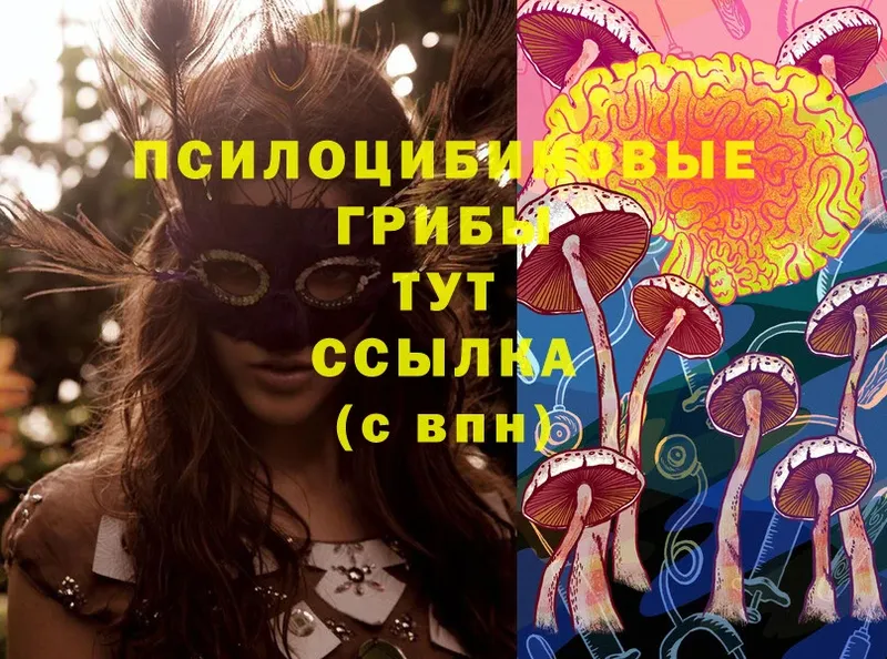 цены   Гороховец  Галлюциногенные грибы MAGIC MUSHROOMS 